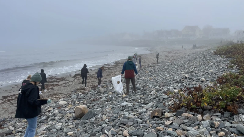 Marine Debris